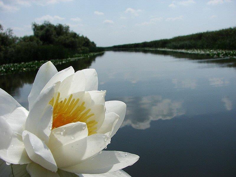 Delta Dunarii - 24124124.jpg